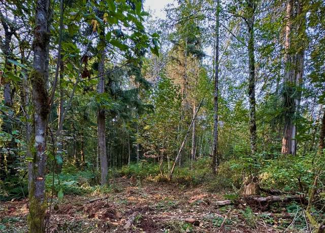 Property at 0 8XXX 213th Ave SE, Snohomish, WA 98290