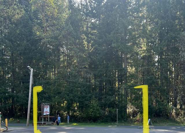 Property at 10201 Eckenstam Johnson Rd, Anderson Island, WA 98303