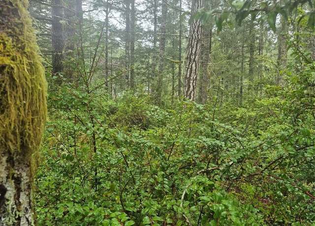 Property at 470 E Michelle Dr, Union, WA 98592