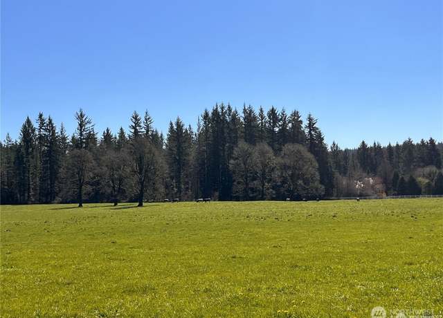 Property at 0 NE 212th Ave, Battle Ground, WA 98604