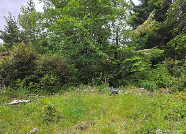 Property at 27312 W St, Ocean Park, WA 98640