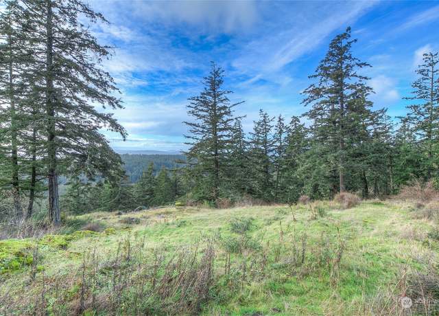 Property at 0 2 NW Rustic Homestead Ln, Orcas Island, WA 98280