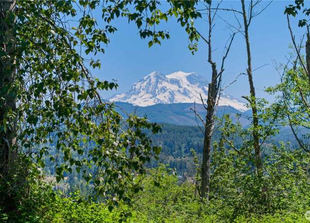 Property at 380 Dow Ridge Dr N, Eatonville, WA 98328