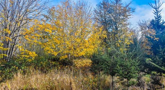 Photo of 821 X Crocker Lake Rd, Quilcene, WA 98376