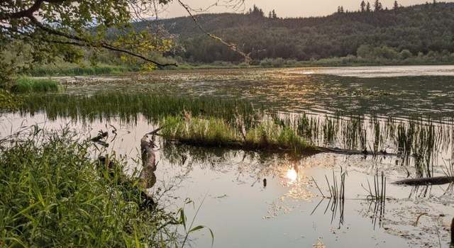 Photo of 821 X Crocker Lake Rd, Quilcene, WA 98376