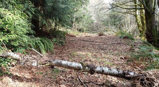 Photo of 3450 Teal Lake Rd, Port Ludlow, WA 98365