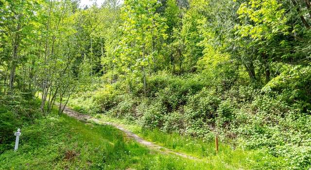 Photo of 333 W Alder Dr, Sedro Woolley, WA 98284