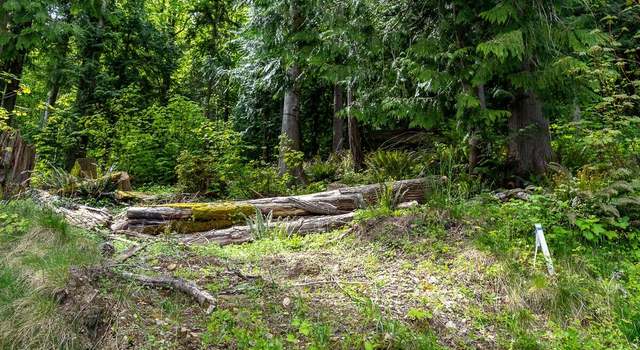 Photo of 0 W Alder Rd, Sedro Woolley, WA 98284
