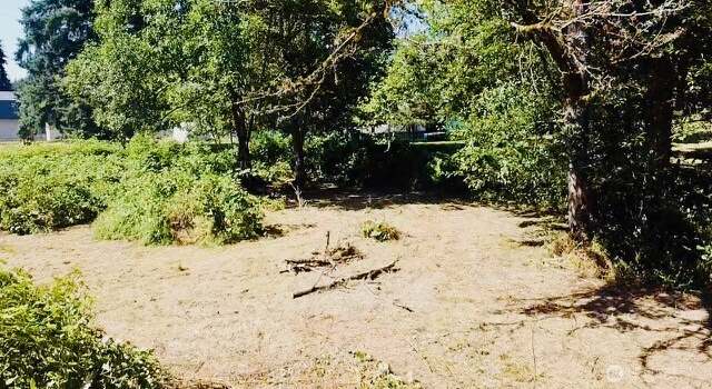 Photo of 121 Church St, Wilkeson, WA 98396