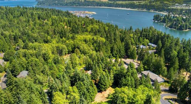 Photo of 0 Osprey Ridge Dr, Port Ludlow, WA 98365