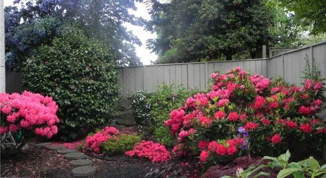 Photo of 1536 NW 63rd St, Seattle, WA 98107