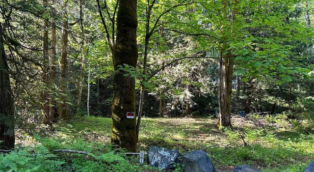 Photo of 501 N Olympic Trl, Lilliwaup, WA 98555