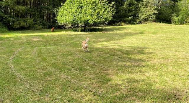 Photo of 17507 50th St NW, Vaughn, WA 98394