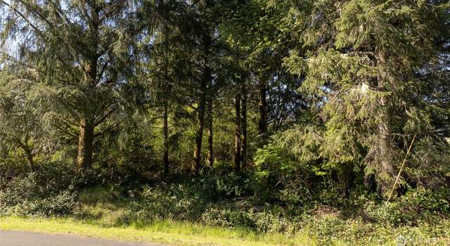 Photo of 893 Albion Ave SE, Ocean Shores, WA 98569