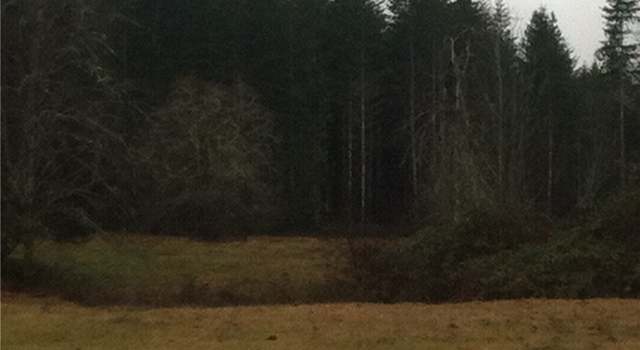 Photo of 11744 Martin Rd, Rockport, WA 98283