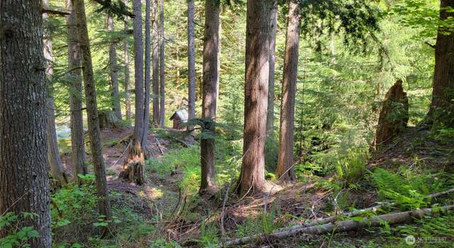 Photo of 87003 NE 122nd, Skykomish, WA 98288