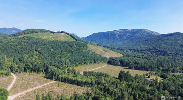 Photo of 944 State Route 7, Morton, WA 98356