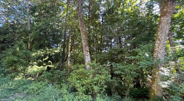 Photo of 0 Peak Dr, Sedro Woolley, WA 98284