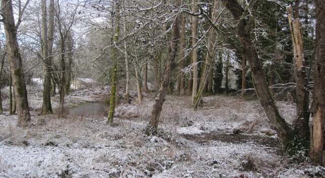 Photo of 35750 Military Rd S, Auburn, WA 98001