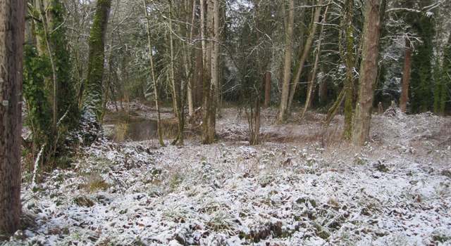 Photo of 35750 Military Rd S, Auburn, WA 98001