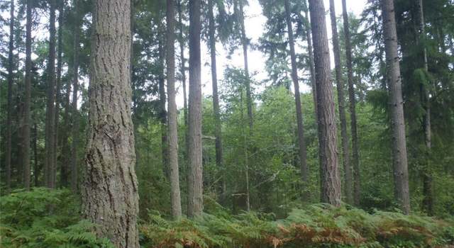 Photo of 9424 Steffenson Rd, Anderson Island, WA 98303