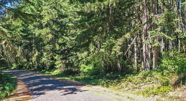 Photo of 11004 Spruce Dr, Anderson Island, WA 98303