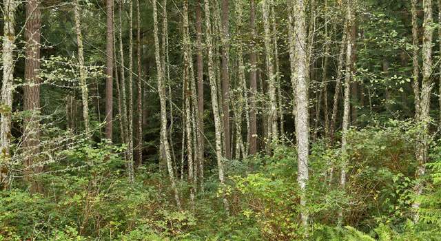 Photo of 0 Lot D Saratoga Rd, Langley, WA 98260