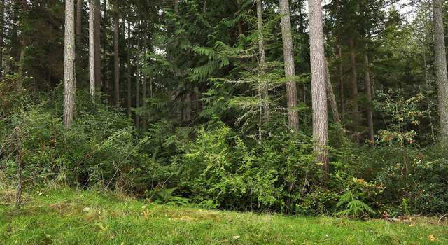 Photo of 0 Lot D Saratoga Rd, Langley, WA 98260