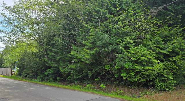 Photo of 0 xxx Paradise Ln, Pacific Beach, WA 98571