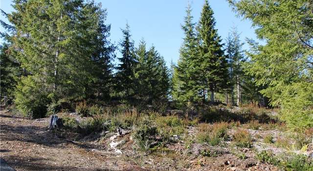 Photo of 1 N Hamma Ridge Dr, Lilliwaup, WA 98555
