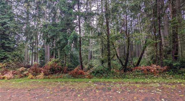 Photo of 11412 Admiralty Way, Anderson Island, WA 98303