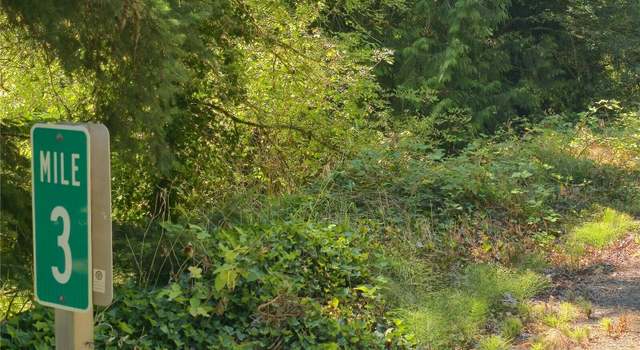 Photo of 38025 Orville Rd E, Eatonville, WA 98360
