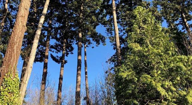 Photo of 7417 Jackson, Blaine, WA 98230