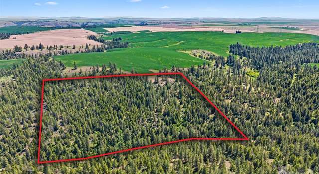 Photo of 32930 N Harker Cyn, Davenport, WA 99122