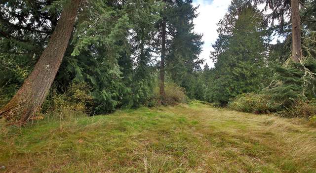 Photo of 0 Lot E Saratoga Rd, Langley, WA 98260