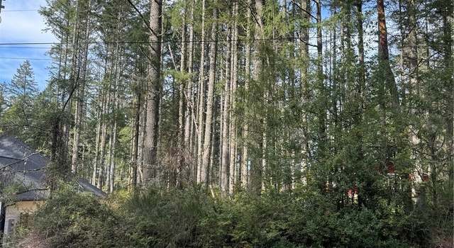 Photo of 12021 Sunset Pl, Anderson Island, WA 98303