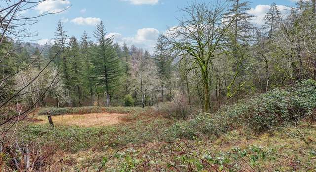 Photo of 205 NE 353rd Ave, Washougal, WA 98671