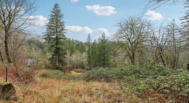 Photo of 205 NE 353rd Ave, Washougal, WA 98671