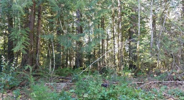 Photo of 0 XXX W Deegan Rd, Shelton, WA 98584