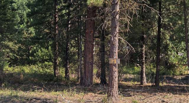 Photo of 0 Bitterroot, Ronald, WA 98940