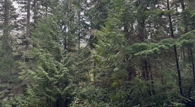 Photo of 11022 Admiralty Way, Anderson Island, WA 98303