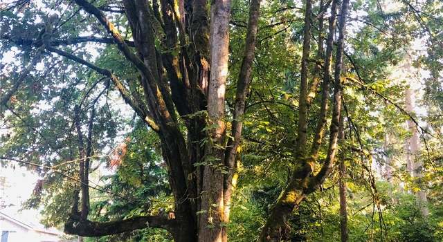 Photo of 10415 107th street Ct, Anderson Island, WA 98303