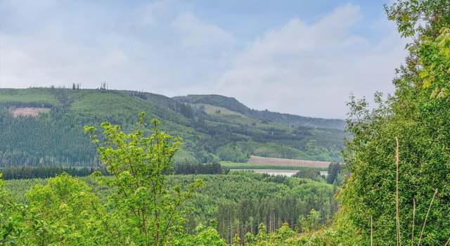 Photo of 0 X 2500 Rd, Toutle, WA 98649