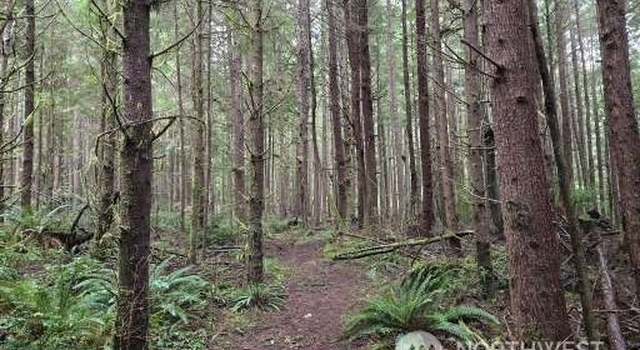 Photo of 0 Off of Plum St, Aberdeen, WA 98520