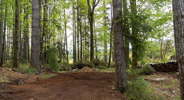 Photo of 331 Rocky Brook Rd, Brinnon, WA 98320