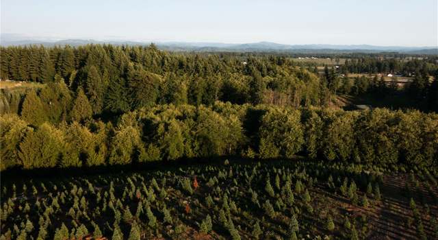 Photo of 387 Leonard, Onalaska, WA 98570