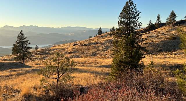 Photo of 0 Lot 41 Homestead Spur Rd, Oroville, WA 98844
