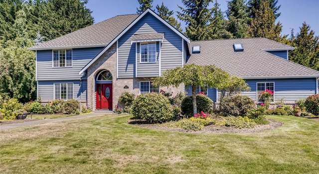 mountainside animal hospital maple valley