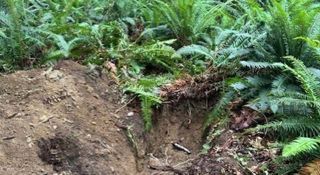 Photo of 0 Pioneer Rd, Seabeck, WA 98380