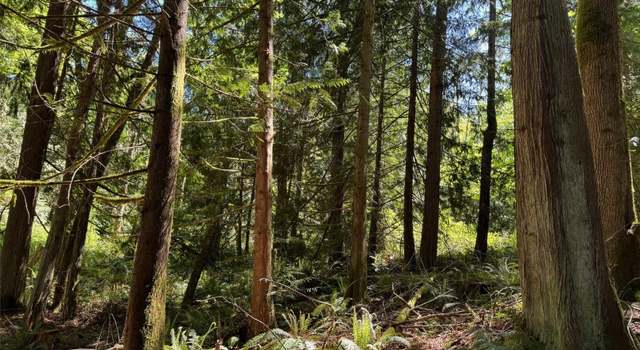 Photo of 0 Pioneer Rd, Seabeck, WA 98380